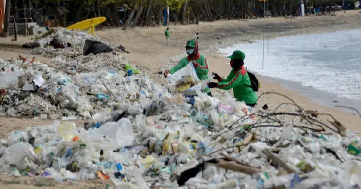 Bersih-Bersih Pantai di Sanur Bareng Komunitas Malu Dong