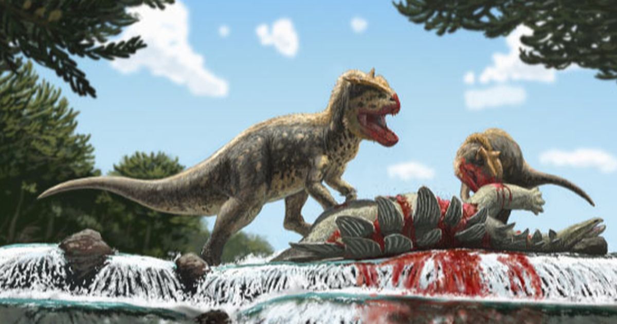 Ilmuwan Temukan Fakta Baru Dinosaurus Ternyata Punya Bulu, Fungsinya Tak Hanya Untuk Terbang