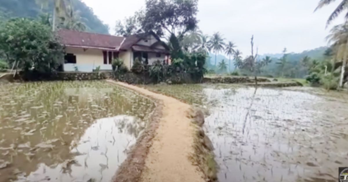 Pria Lanjut Usia Hidup Damai di Tengah Sawah Bareng Istri Muda, Rumahnya Luas dan Bersih