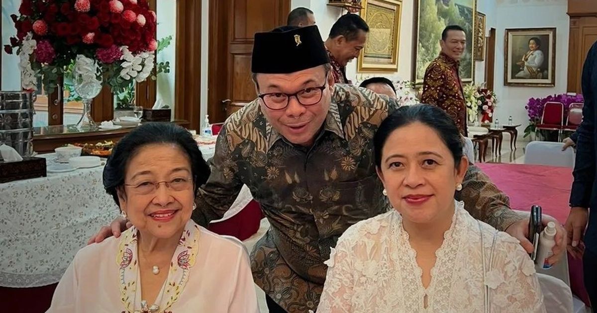 Profil Singkat Romy Soekarno, Keponakan Megawati Pengganti Arteria Dahlan di DPR