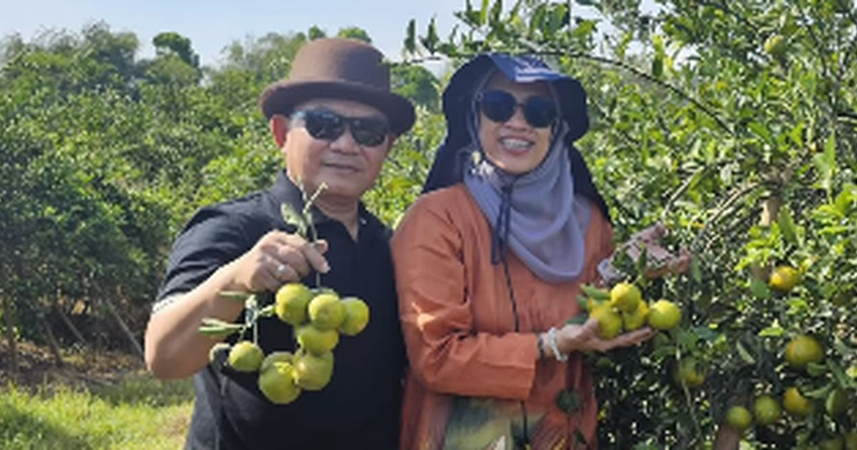 Wajah Ceria Eks Kasad Bareng Istri Tercinta Panen Jeruk, Makin Semangat Berkebun Bawa Kebahagian