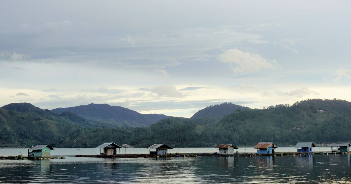 Mengunjungi Danau Laut Tawar, Suguhkan Panorama Alam Indah yang Memukau Cocok untuk Healing