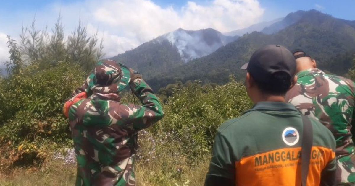 Kebakaran Hutan TNBTS Meluas, Titik Api Bertambah