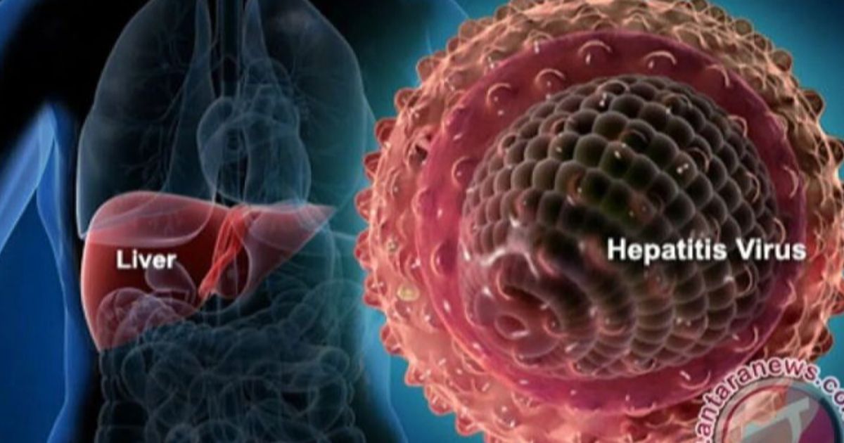 Kemenkes: Prevalensi Hepatitis B dan C Turun dalam Beberapa Tahun Terakhir