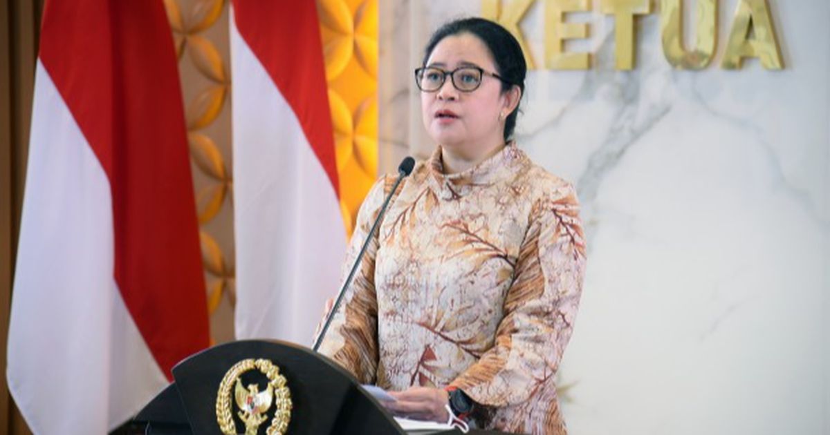 Puan Maharani Minta Pemerintah Perkuat Jaring Pengaman Layanan Kesehatan Guna Cegah Penyebaran Mpox