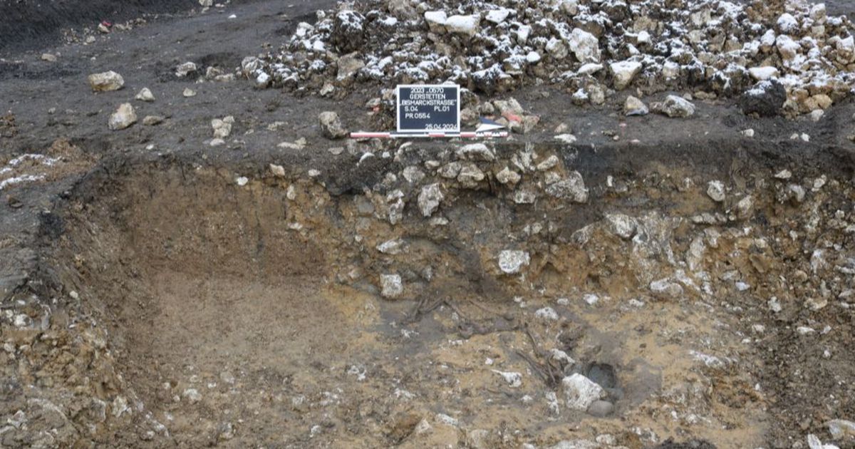 Arkeolog Temukan Makam Kuno Berisi Sisir dari Abad ke-4 yang Masih Utuh, Begini Bentuknya