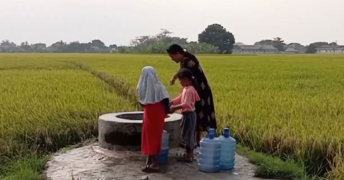 Cerita Sumur Tua Keramat di Tengah Sawah Serang, Tak Pernah Kering Meski Kemarau Ekstrim