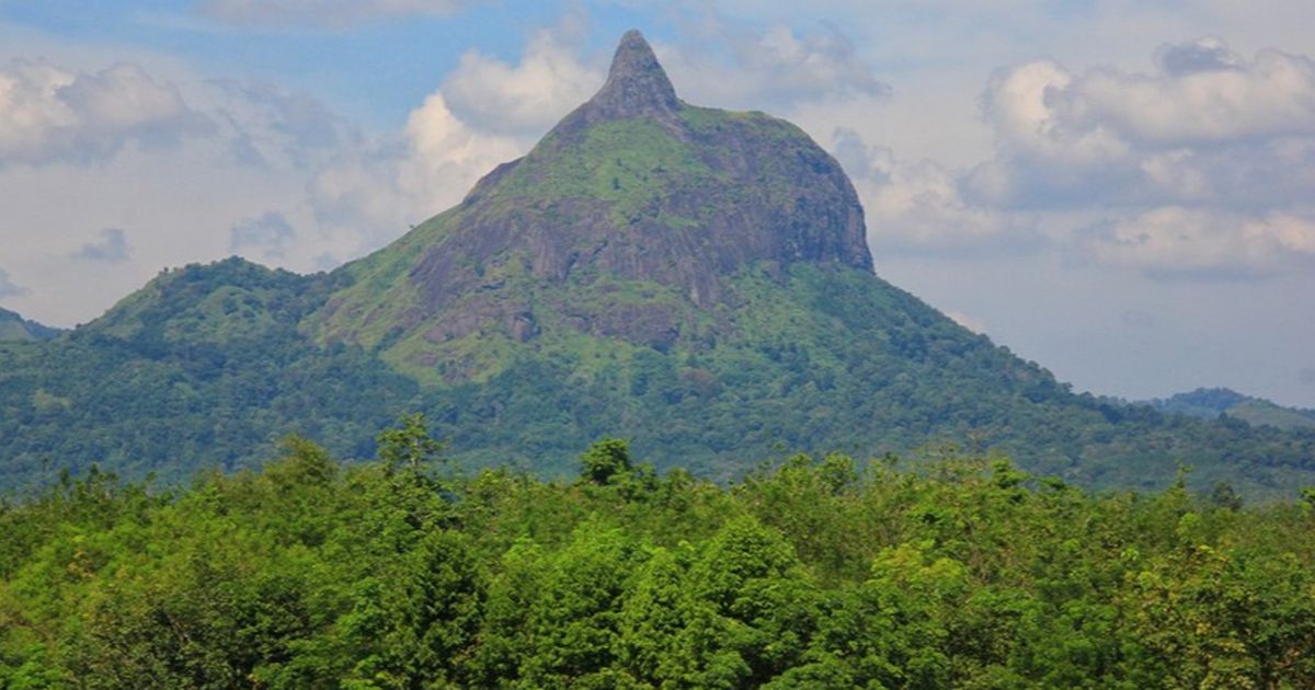 Vakansi ke Bukit Jempol Sumsel, Surganya Pencinta Alam yang Suka Mendaki dengan Trek Menantang