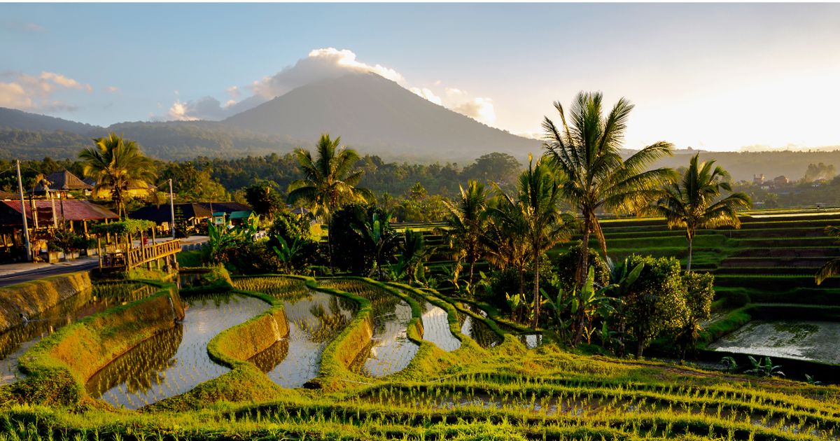 Jalanan Membelah Sawah di Tabanan Bali Ini Romantis Abis, Cocok Dikunjungi Bareng Pasangan