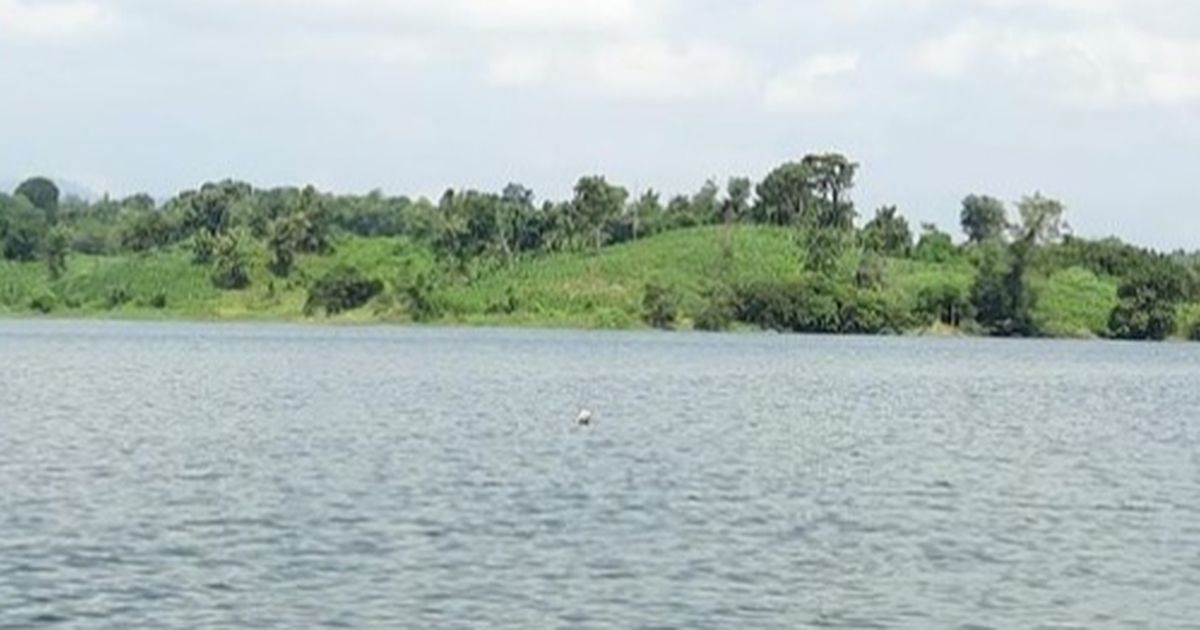 Menikmati Suasana Waduk Pacal di Bojonegoro, Warisan Belanda yang Sarat Nilai Sejarah