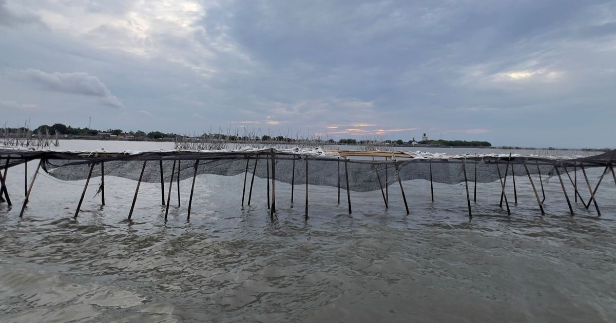 FOTO: Penampakan Terkini Pagar Laut Misterius di Tangerang, Akhirnya Disegel KKP Atas Perintah Prabowo