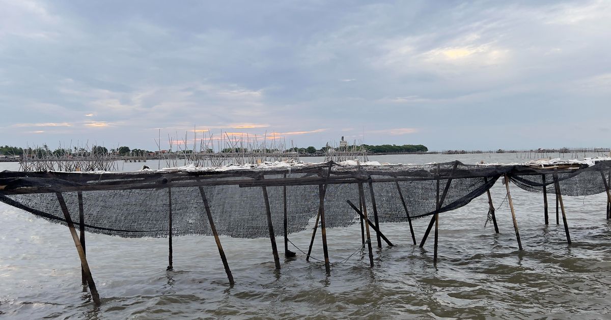 Fakta Terbaru Pagar Laut Tangerang, Nelayan Diupah Harian Rp100 Ribu hingga Singgung Keterlibatan Aparat