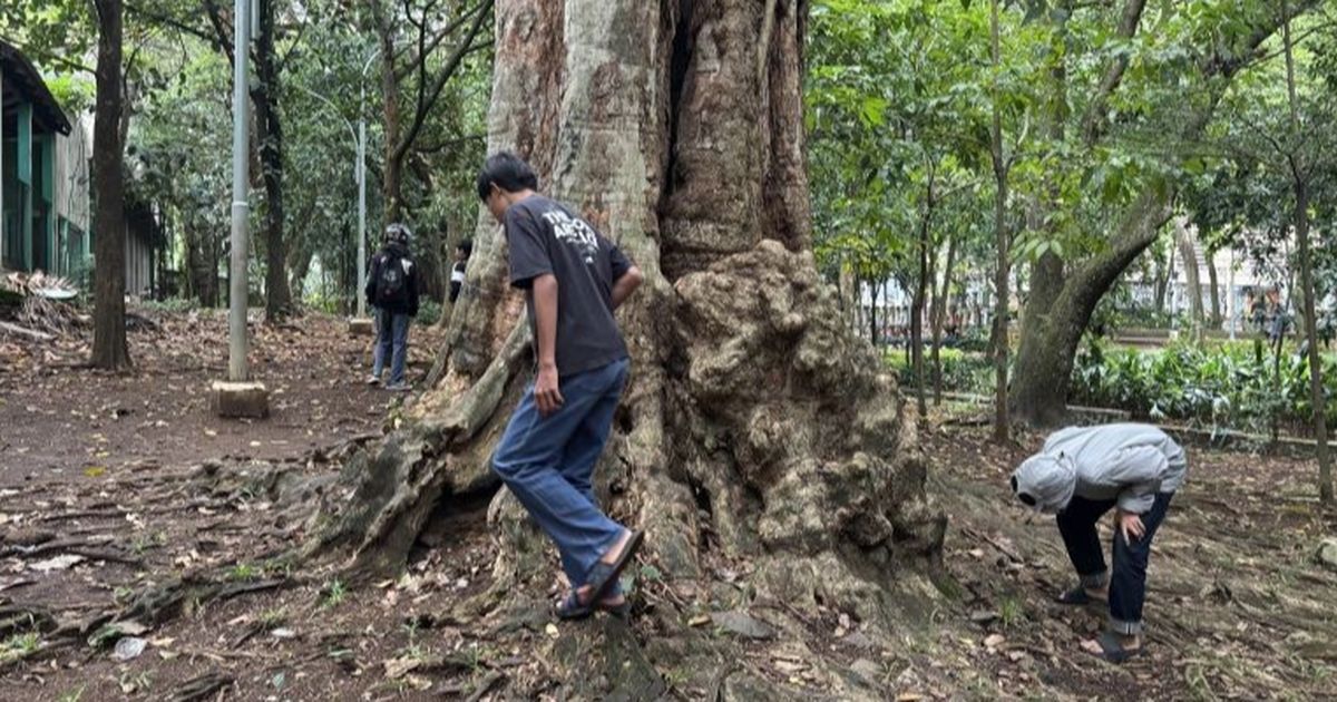 Pj Gubernur Jakarta Minta Komdigi Evaluasi Aplikasi Koin Jagat Imbas Banyak Fasilitas Umum Rusak