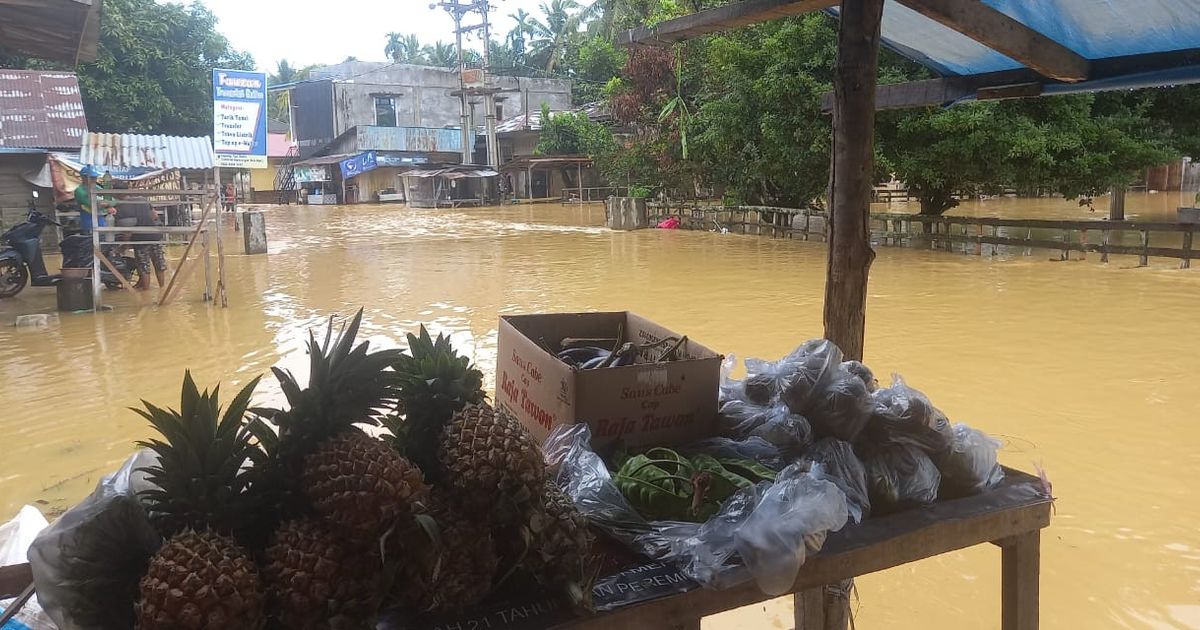 Banjir Landa Lima Desa di Kampar, 985 Rumah Terendam Air hingga Satu Meter