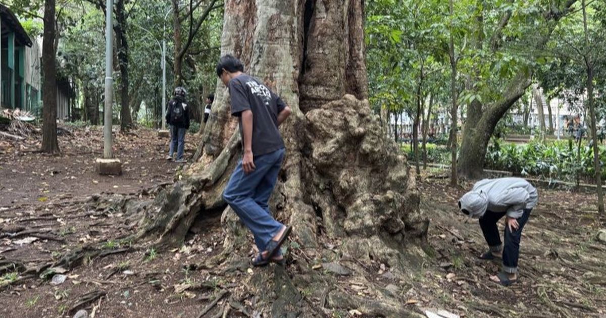 Viral Berburu Koin Jagat, Menteri PPPA Ingatkan Masyarakat Tak Gampang Percaya