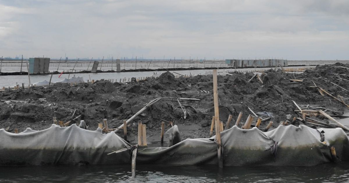 Pagar Laut di Bekasi Ternyata Proyek Pemprov Jabar dan Swasta, Rencananya Dibangun Pelabuhan