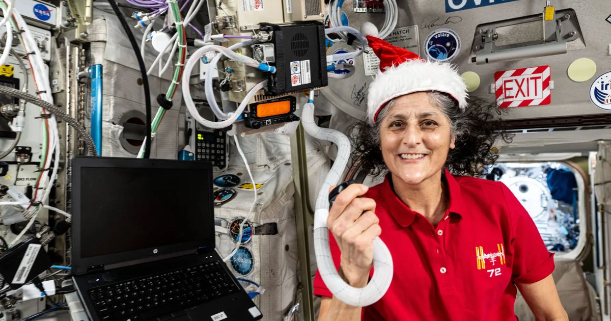 Makin Kurus, Ini Foto Terbaru Sunita Williams, Astronot NASA yang Lama 