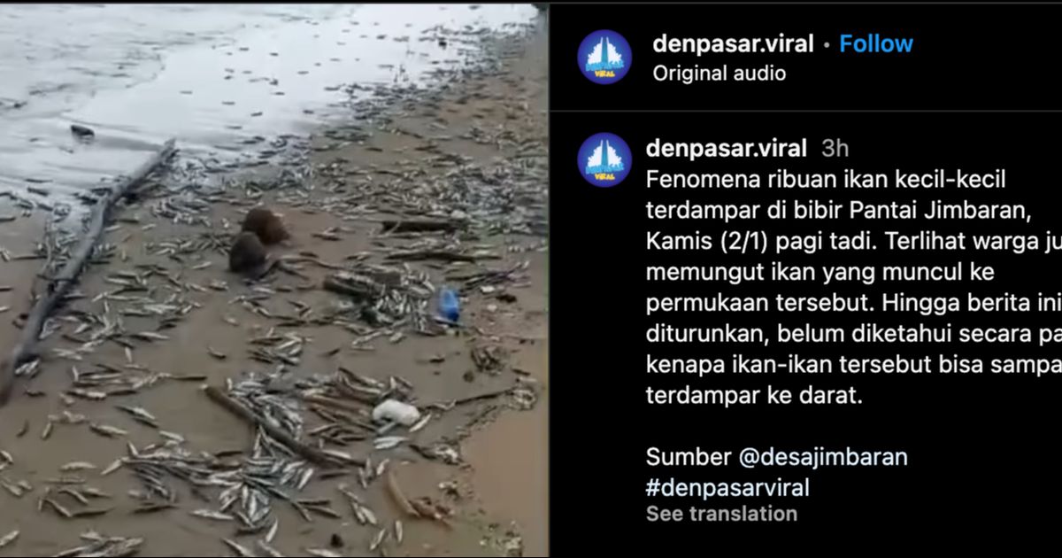 Viral Ribuan Ikan Mati Terdampar di Pantai Jimbaran, Ini 4 Faktor Diduga Jadi Penyebabnya