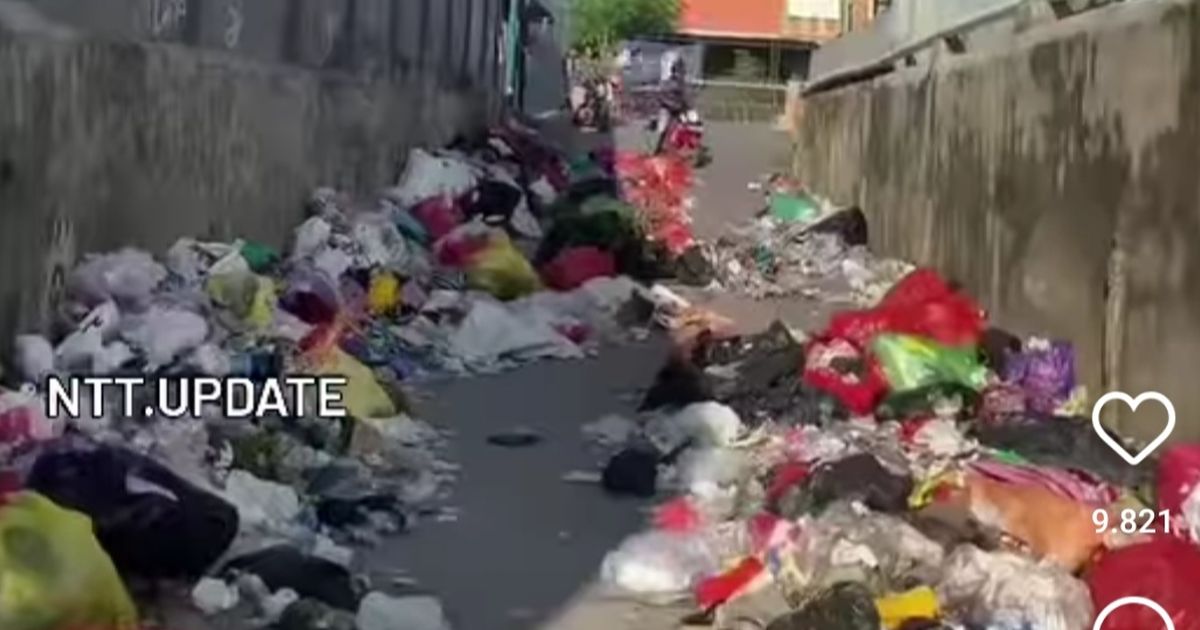 Viral Video Sampah Berserakan di Jalan Raya, Wakil Gubernur NTT Terpilih Langsung 'Colek' Pemkot Kupang di Medsos