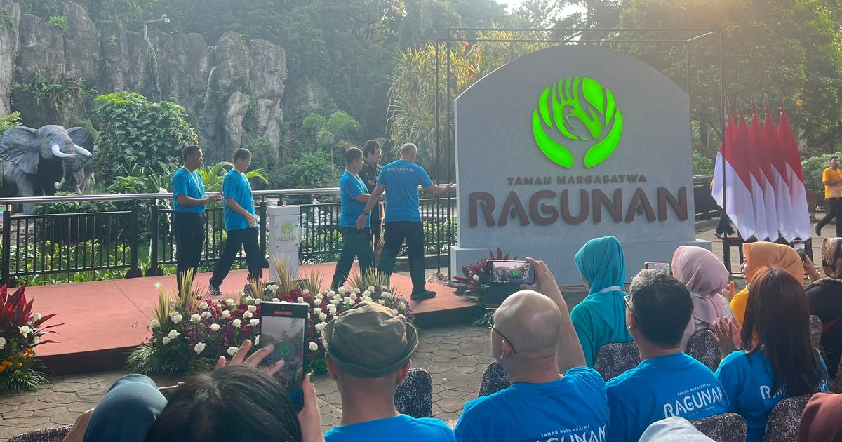 Elang Bondol Jadi Logo dan Maskot Baru Taman Margasatwa Ragunan