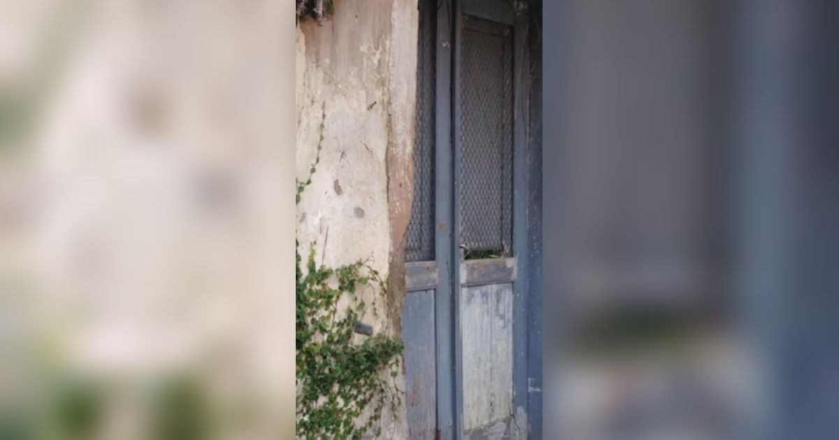 7 Tanda Ada Ular di Sekitar Rumah Berdasarkan Kondisi Dinding, Pahami untuk Cegah Bahaya