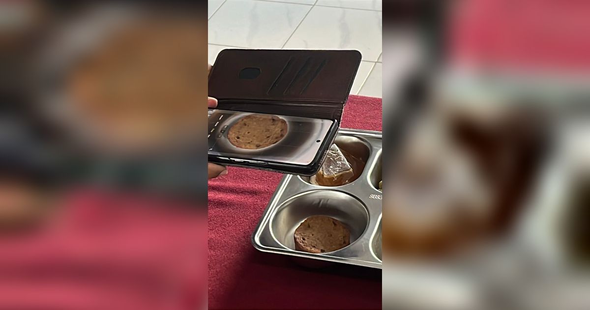 Cerdas dan Peduli, Guru SMAN 2 Karanganyar Ciptakan Aplikasi Pendeteksi Makan Bergizi Gratis