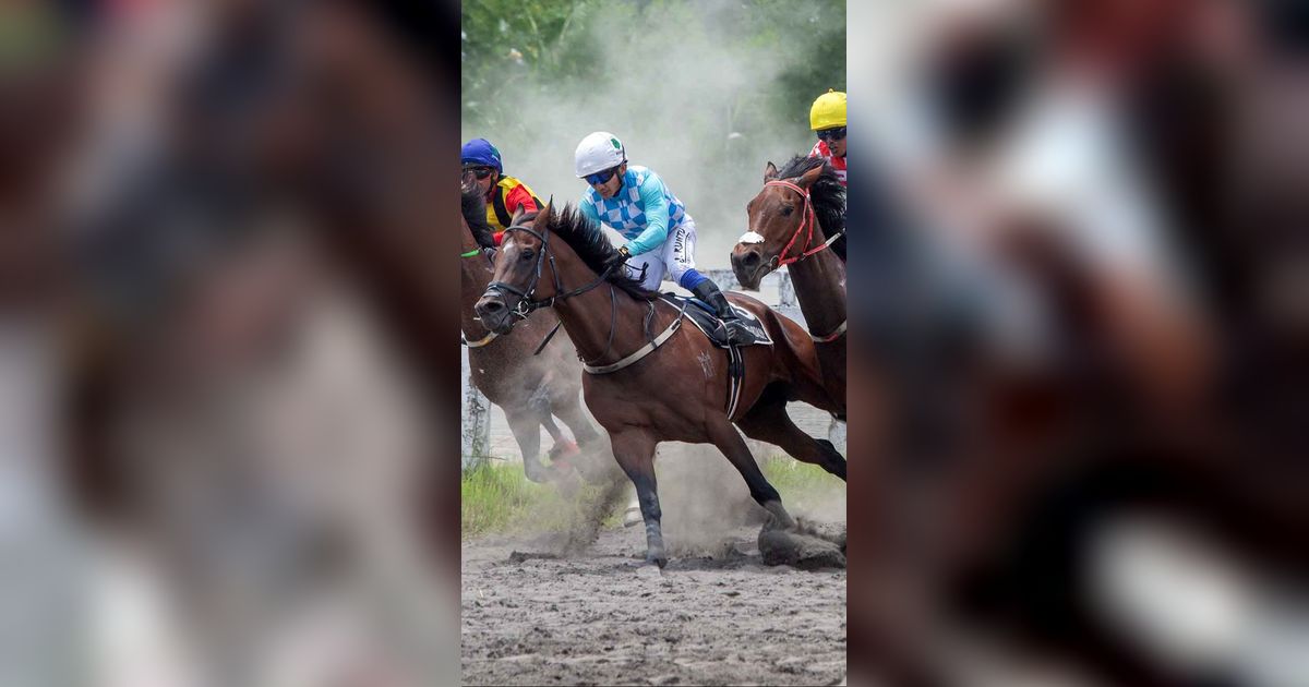 FOTO: Gagahnya Derap Kuda di Bantul,  Piala Raja Hamengku Buwono X 2025 Hidupkan Tradisi dan Sport Tourism