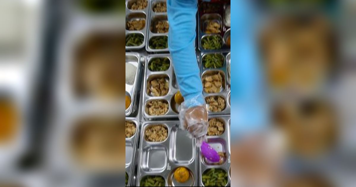 Kepala BGN Ungkap 50 Persen Keracunan Pangan di Indonesia Karena Cemaran Bakteri E. Coli