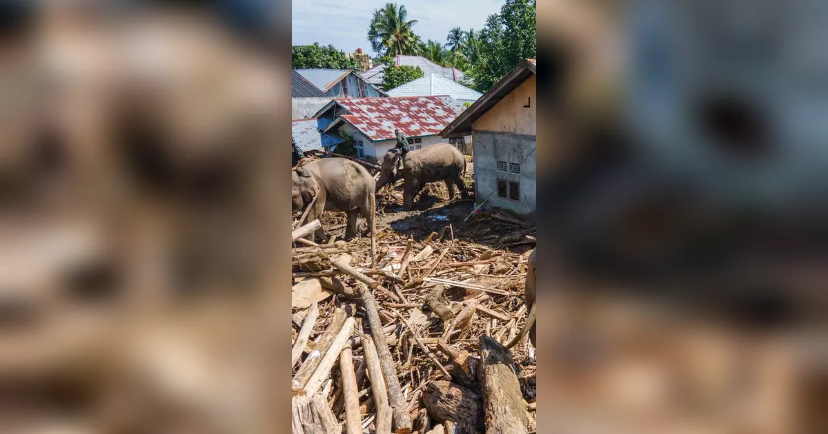 Banjir Kembali Melanda Pidie Jaya Aceh
