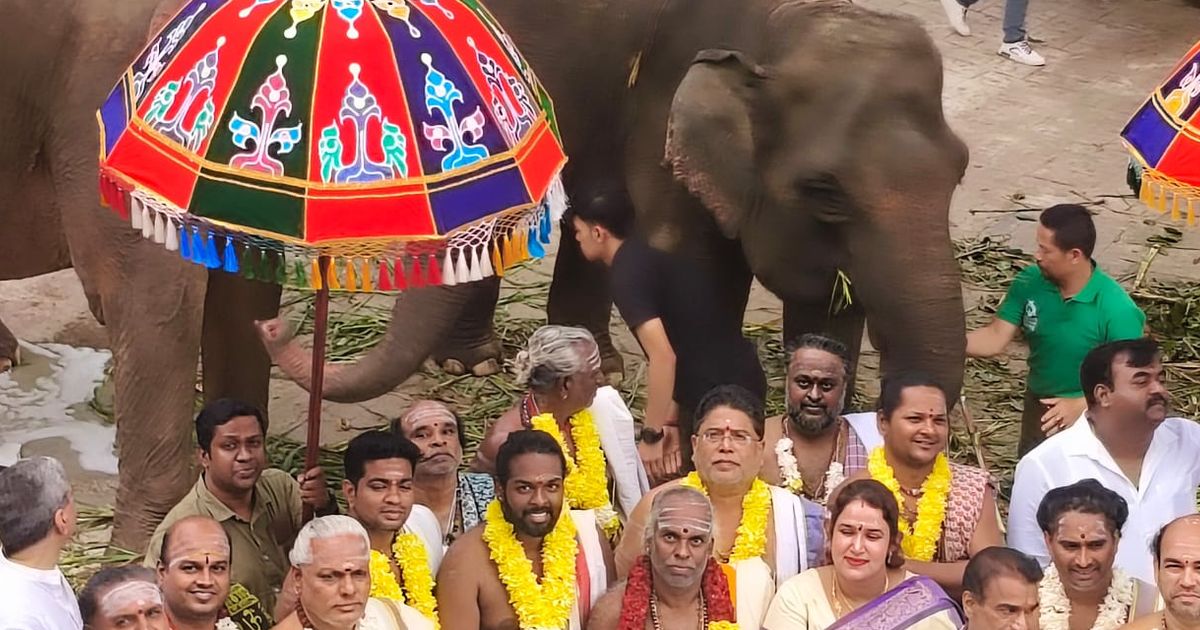 Kuil Hindu Terbesar di Indonesia Resmi Dibuka, Kementerian Kehutanan Kirimkan Dua Gajah Suci