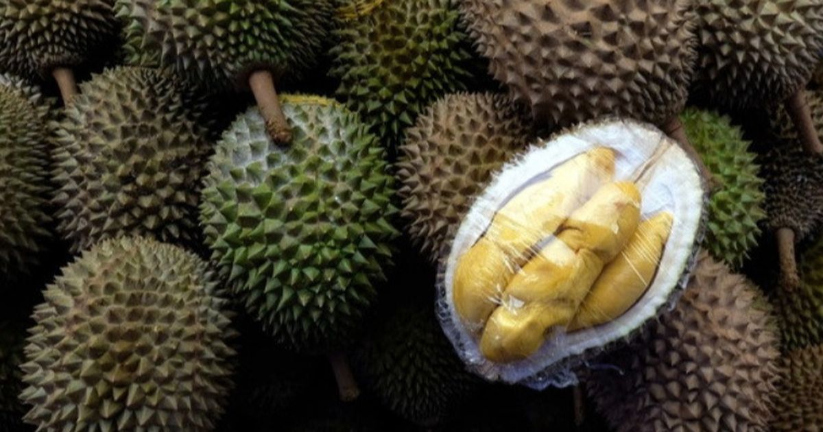 Apakah Durian Menyebabkan Darah Tinggi? Ketahui Fakta dan Mitosnya