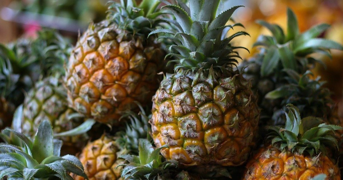 Manfaat Nanas untuk Kolesterol dan Asam Urat, Cocok Dikonsumsi Usai Menyantap Aneka Makanan Setelah  Hari Lebaran