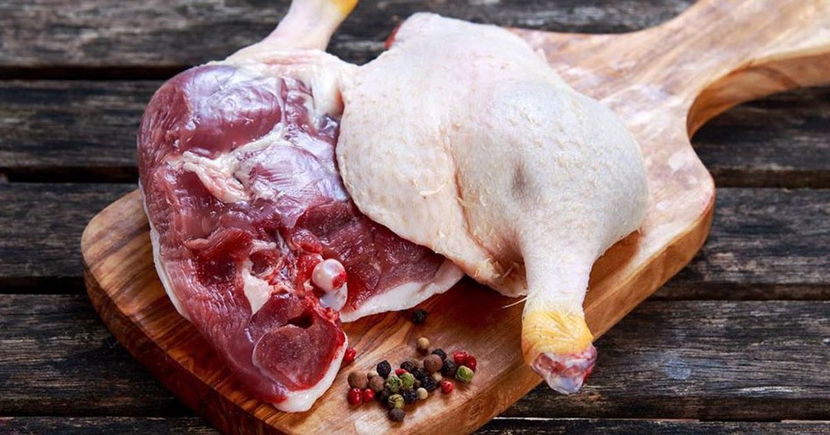 Apakah Bebek Menyebabkan Kolesterol? Berikut Panduan Lengkapnya untuk Orang Tua