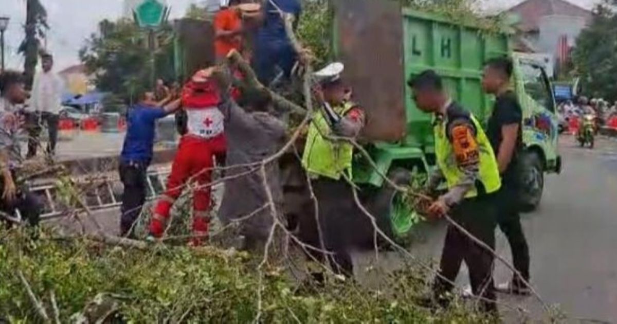 Kronologi Pohon Tumbang Timpa Jemaah Salat Idulfitri di Alun-Alun Pemalang hingga Tewaskan 2 Orang