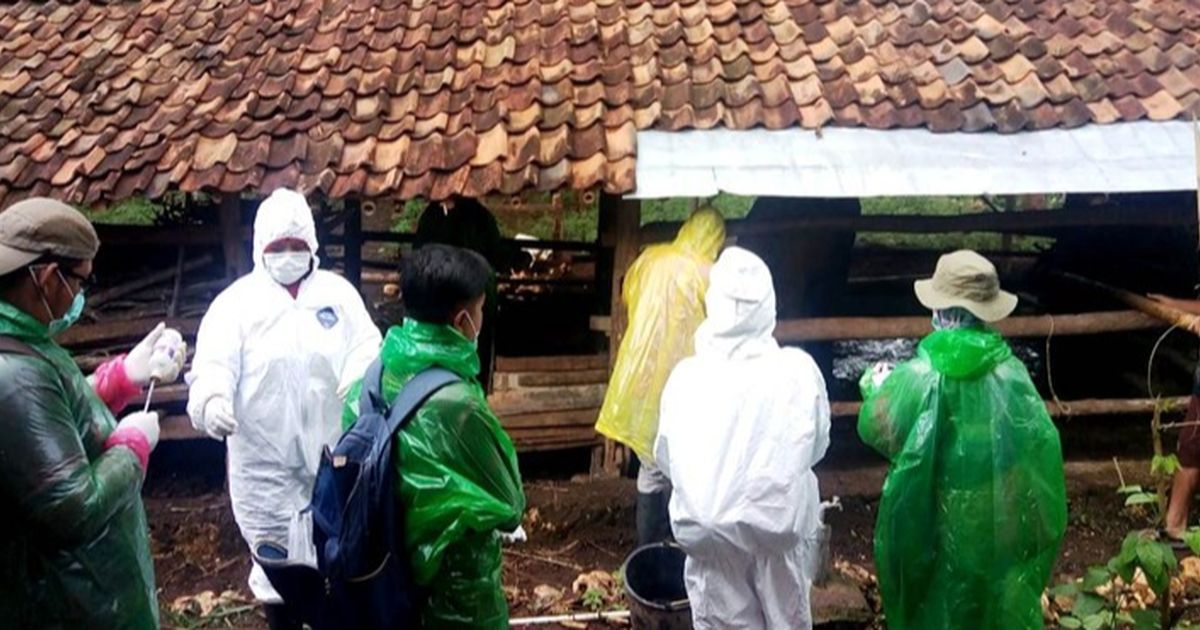 3 Warga Gunungkidul Positif Antraks