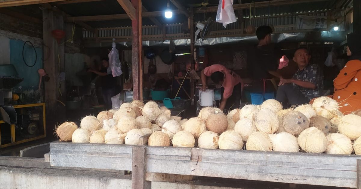 Harga Kelapa Parut Naik Tajam, Mendag: Harga Ekspor Lebih Mahal dan Terjadi Kelangkaan Dalam Negeri