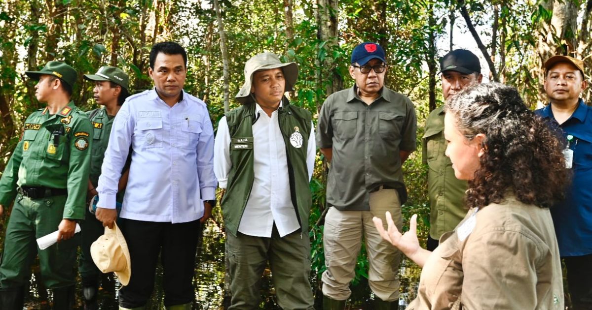Gambut Sebangau Penting Bagi Iklim Global