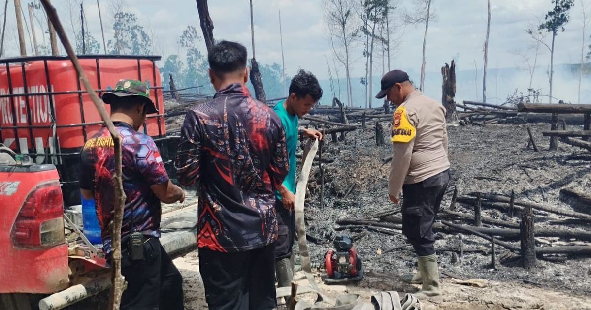 Kobaran Api Besar di Kawasan Habitat Gajah dan Harimau di Riau, Terbakar atau Dibakar?