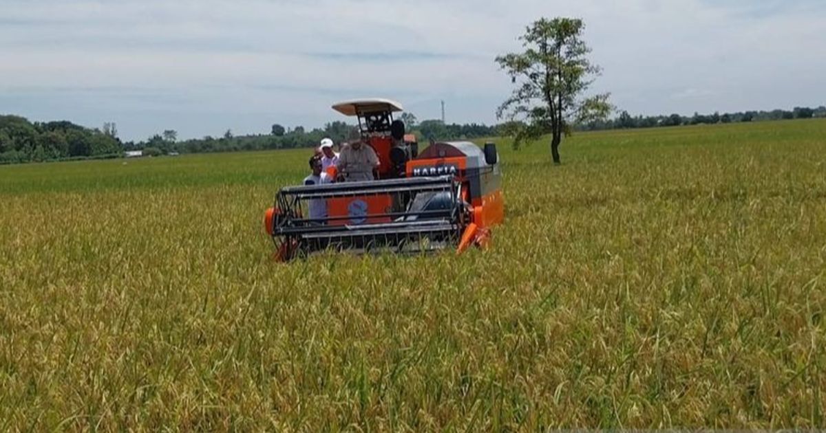 Malaysia Ingin Impor Beras dari Indonesia, Begini Respons Menteri Kabinet Prabowo