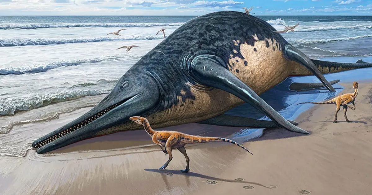 Bocah 11 Tahun Temukan Fosil Reptil Laut Raksasa Zaman Dinosaurus Saat Jalan-jalan di Pantai
