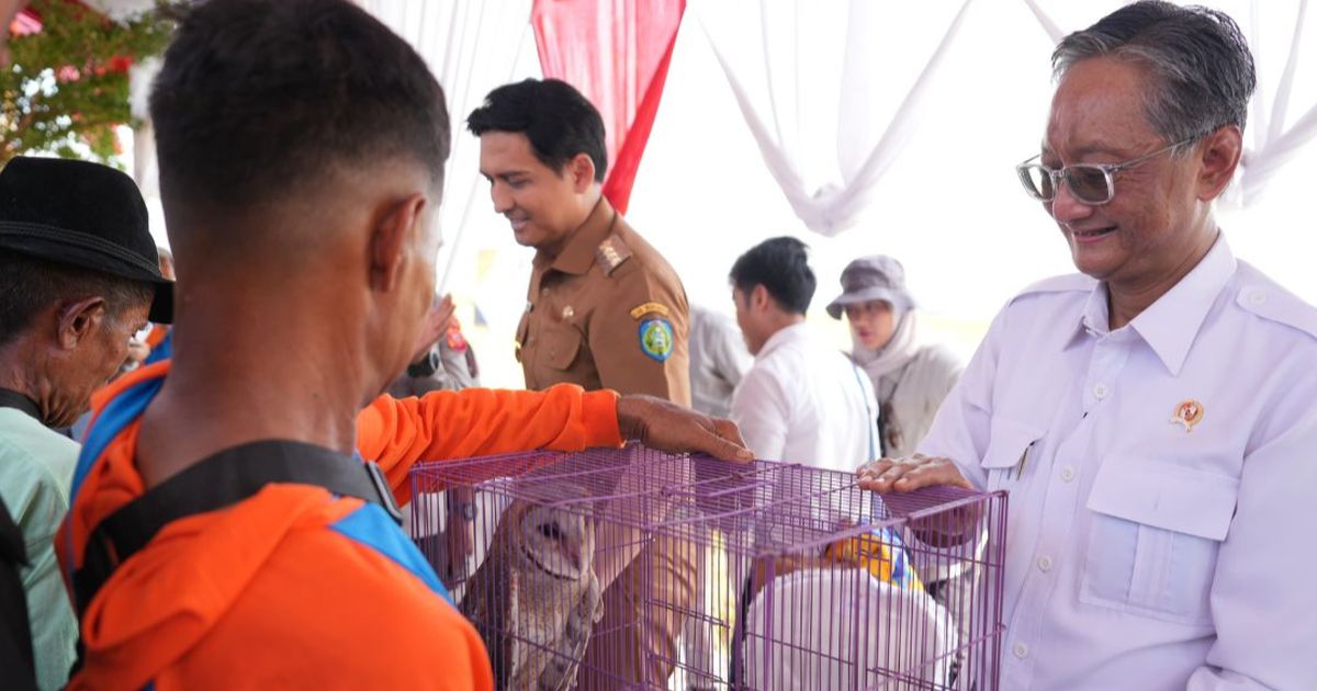 Menteri PU Serahkan Burung Hantu kepada Petani, Andalkan Solusi Alami Tekan Hama Tikus di Lahan IPHA