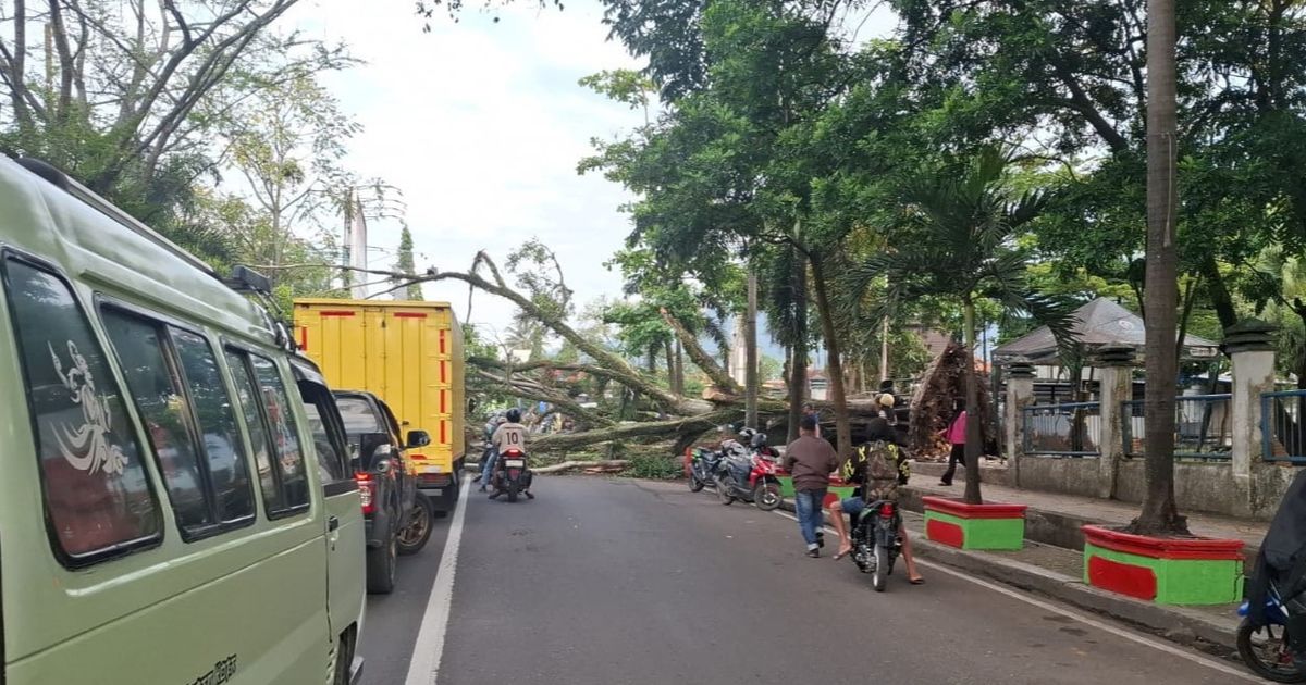 Detik-Detik Pohon Beringin Tua di Garut Tumbang Timpa Motor dan Pemotor