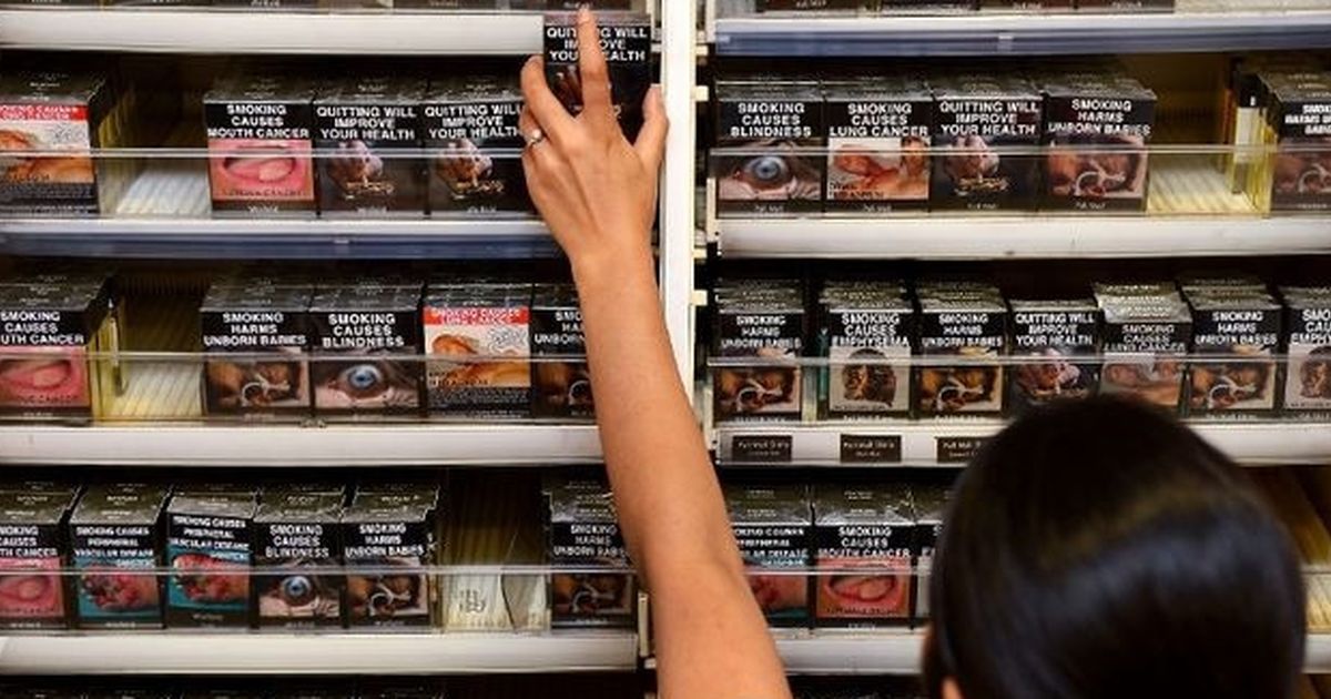 Pengusaha: Penyeragaman Kemasan Rokok Buat Konsumen Bingung, Susah Bedakan Legal dan Ilegal