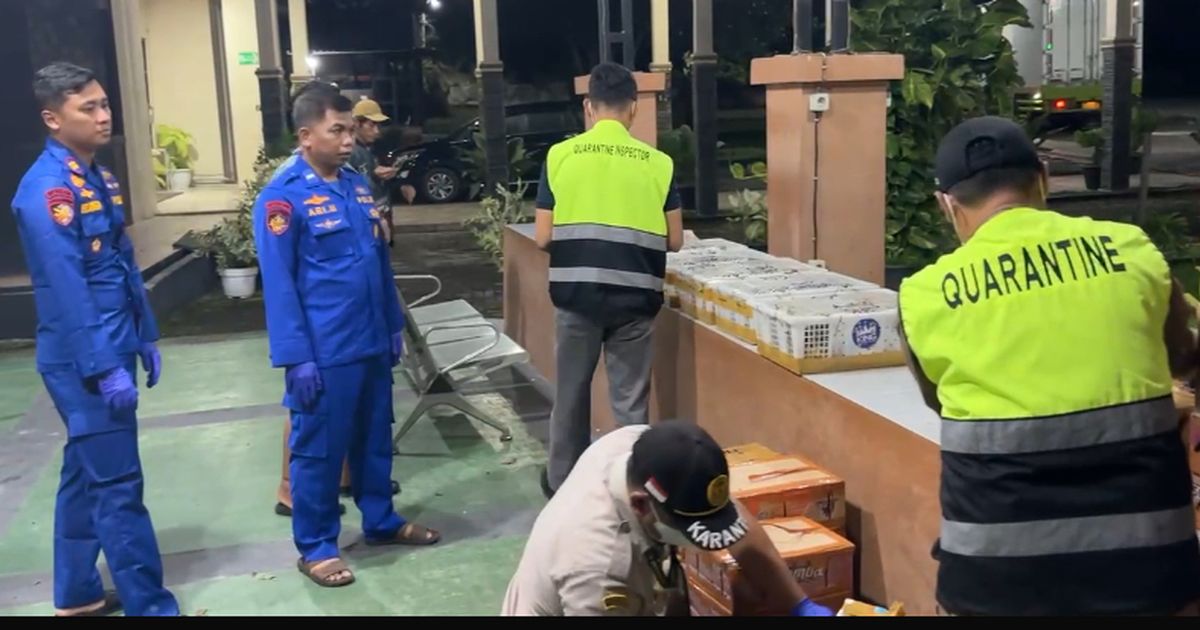 Modus Penyelundupan Ratusan Burung Mahal Bakal dari Lampung ke Bekasi, Siapa Pembelinya?