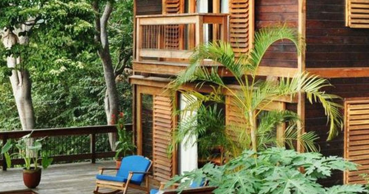 Rumah Kayu Minimalis Modern,Perpaduan Keindahan Alami dan Desain Kontemporer