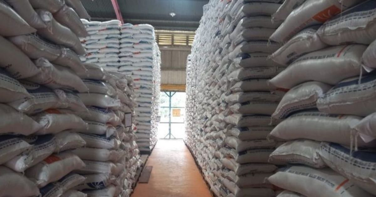 Stok Beras Tembus 3,18 Juta Ton, Mentan: Mungkin Tertinggi Selama Indonesia Merdeka
