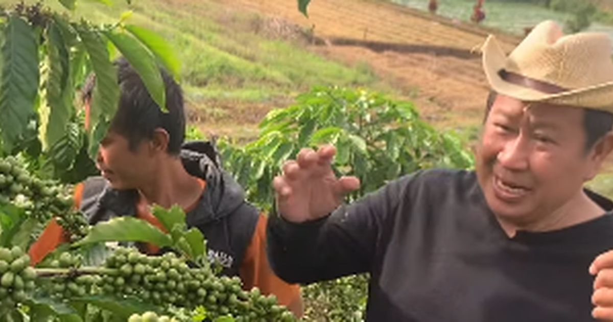 Kini jadi Petani, Momen Pensiunan Jenderal Polisi Turun ke Kebun Kopi Penampilannya Tetap Kece