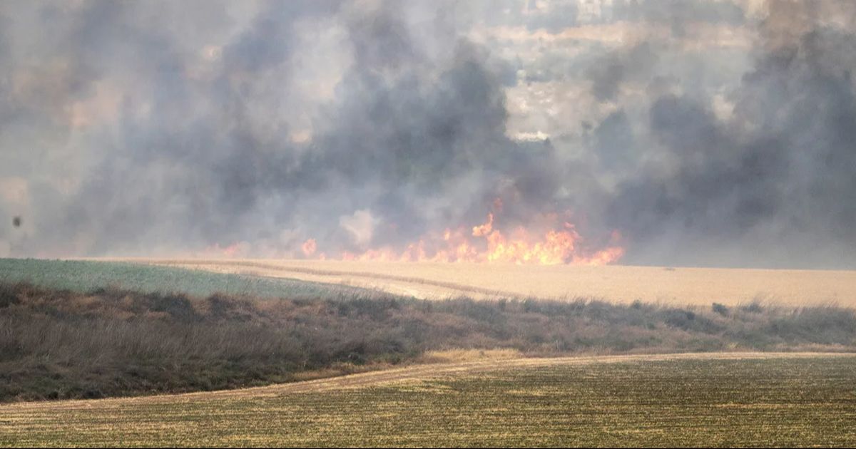Israel Terbakar Hebat, Tak Bisa Padamkan Api Sampai Kewalahan Minta Tolong Negara Lain