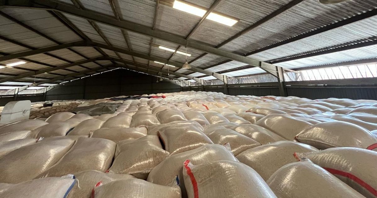 Indonesia Setop Impor, Harga Beras Dunia Turun
