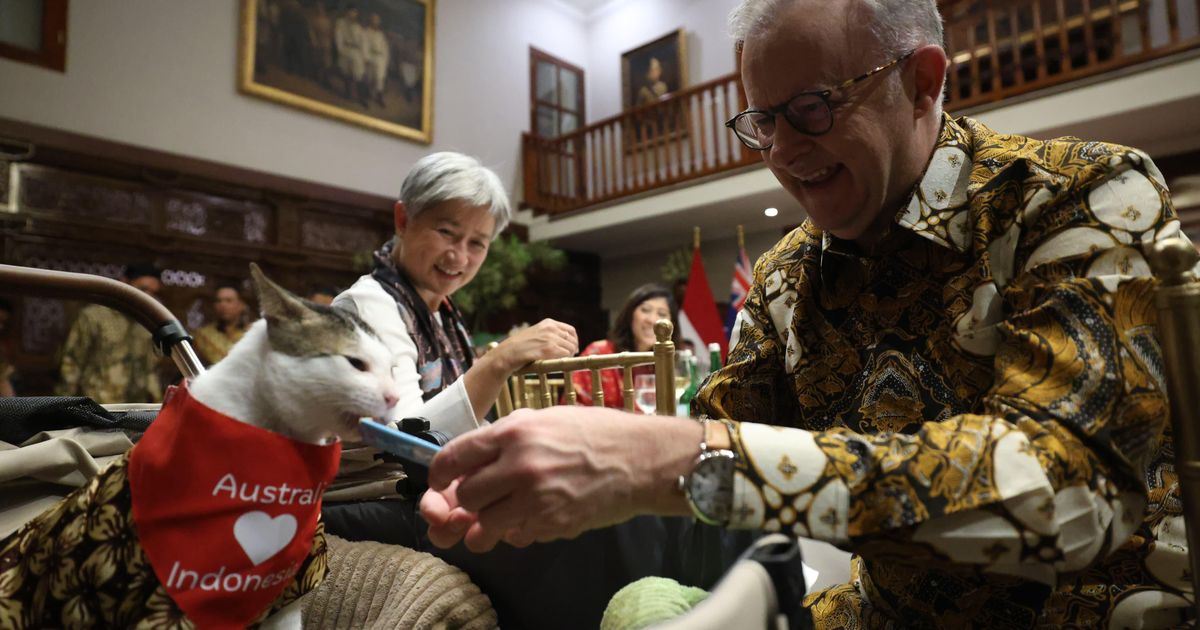 Hadiah Spesial Kalung Syal dari PM Australia untuk Kucing Prabowo Bobby Kertanegara